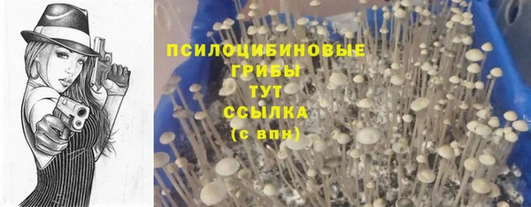 таблы Надым