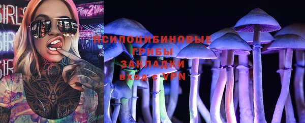 таблы Надым