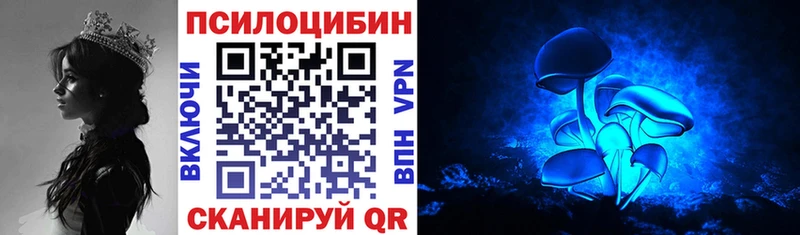 кракен tor  Александровск  Псилоцибиновые грибы ЛСД 